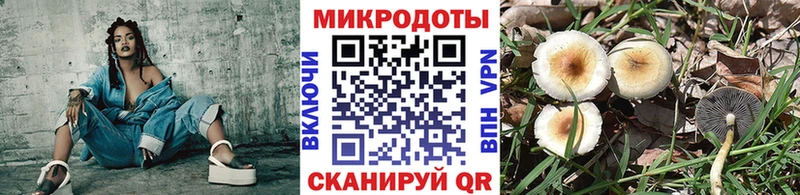 купить   Новый Оскол  Псилоцибиновые грибы мухоморы 